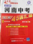 2018年金考卷河南中考45套匯編化學(xué)第9年第9版