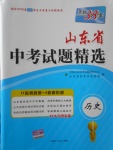 2018年天利38套山東省中考試題精選歷史