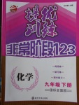 2018年提優訓練非常階段123九年級化學下冊全國版