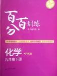 2018年百分百训练九年级化学下册沪教版