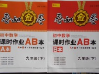 2018年春如金卷初中數(shù)學(xué)課時作業(yè)AB本九年級下冊