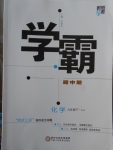 2018年經(jīng)綸學典學霸九年級化學下冊魯教版