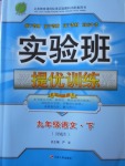 2018年實驗班提優(yōu)訓練九年級語文下冊人教版