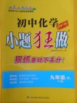 2018年初中化学小题狂做九年级下册人教版课时版