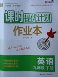 2018年課時提優(yōu)計劃作業(yè)本九年級英語下冊蘇州專版