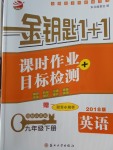 2018年金鑰匙1加1課時作業(yè)加目標檢測九年級英語下冊江蘇版