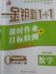 2018年金钥匙1加1课时作业加目标检测九年级数学下册江苏版