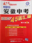 2018年金考卷安徽中考45套匯編化學