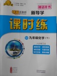 2018年奪冠百分百新導(dǎo)學(xué)課時(shí)練九年級(jí)化學(xué)下冊(cè)人教版