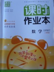 2018年通城學典課時作業(yè)本九年級數學下冊人教版