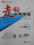 2018年走向中考考場九年級化學下冊魯教版