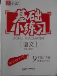 2018年全品基礎(chǔ)小練習(xí)九年級(jí)語文下冊(cè)語文版