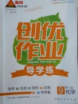 2018年黃岡創(chuàng)優(yōu)作業(yè)導(dǎo)學(xué)練九年級化學(xué)下冊人教版