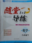 2018年随堂1加1导练九年级化学下册人教版