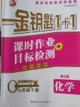 2018年金鑰匙1加1課時(shí)作業(yè)加目標(biāo)檢測(cè)九年級(jí)化學(xué)下冊(cè)上海版