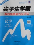 2018年尖子生學(xué)案九年級化學(xué)下冊人教版