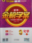 2018年世紀(jì)金榜金榜學(xué)案九年級(jí)化學(xué)下冊(cè)