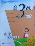 2018年金3練九年級化學(xué)下冊上教版