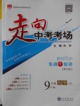 2018年走向中考考場九年級化學(xué)下冊人教版