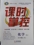 2018年課時掌控九年級化學下冊人教版云南人民出版社