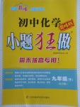 2018年初中化學(xué)小題狂做九年級(jí)下冊(cè)滬教版巔峰版