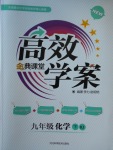 2018年高效學(xué)案金典課堂九年級(jí)化學(xué)下冊(cè)人教版