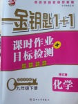 2018年金鑰匙1加1課時作業加目標檢測九年級化學下冊全國版