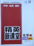 2018年精英新課堂九年級化學(xué)下冊科粵版