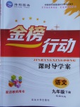 2018年金榜行動課時導(dǎo)學(xué)案九年級語文下冊語文版