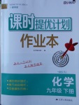 2018年课时提优计划作业本九年级化学下册人教版