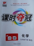 2018年課時奪冠九年級化學下冊課改版