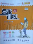 2018年點(diǎn)撥訓(xùn)練九年級語文下冊人教版