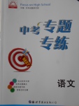 2018年中考專題專練語文
