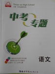 2018年中考專(zhuān)題語(yǔ)文