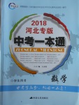 2018年中考一本通數學河北專版