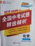 2018年全優(yōu)中考全國中考試題精選精析化學河北專用