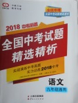 2018年全優(yōu)中考全國中考試題精選精析語文九年級通用