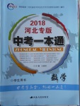 2018年中考一本通数学河北专版v