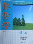 2018年伴你学九年级语文下册苏教版