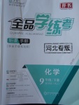 2018年全品學(xué)練考九年級(jí)化學(xué)下冊(cè)人教版河北專版