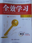 2018年全效學習九年級語文下冊人教版湖南教育出版社