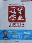 2018年遼寧作業(yè)分層培優(yōu)學(xué)案九年級(jí)英語(yǔ)下冊(cè)滬教版