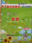 2018年為了燦爛的明天同步訓練與拓展課時練九年級化學下冊滬教版