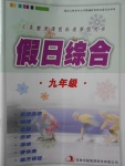 2018年假日綜合寒假九年級吉林出版集團有限責(zé)任公司