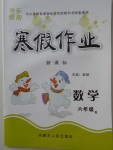 2018年快樂假期寒假作業(yè)六年級數(shù)學(xué)人教版內(nèi)蒙古人民出版社