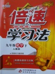 2018年倍速學習法九年級化學下冊人教版