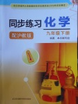 2018年同步練習(xí)九年級化學(xué)下冊滬教版江蘇鳳凰科學(xué)技術(shù)出版社