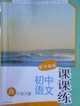 2018年课课练初中语文九年级下册苏教版