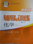 2018年新思路辅导与训练九年级化学第二学期