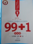 2018年99加1活页卷九年级化学下册人教版